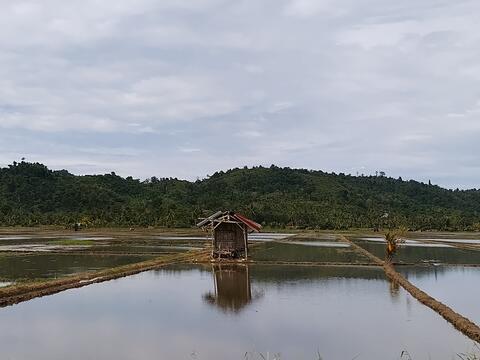 Gallery7