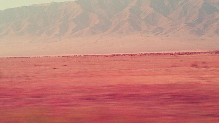 Ref=d Field